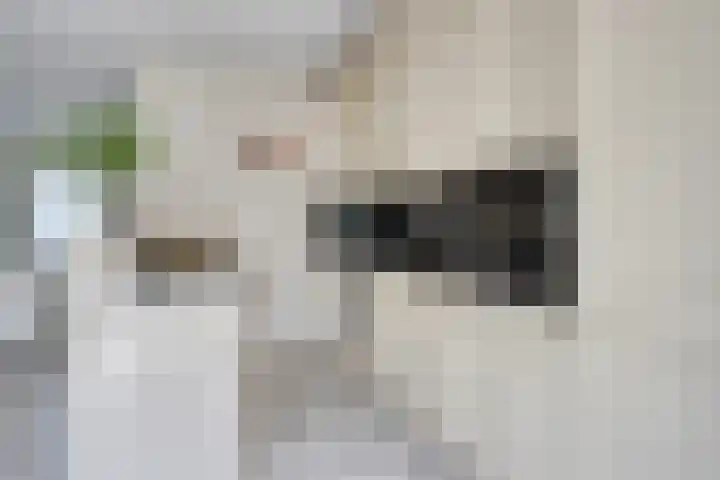 Ridderzaal 37 Eindhoven thumbnail 11