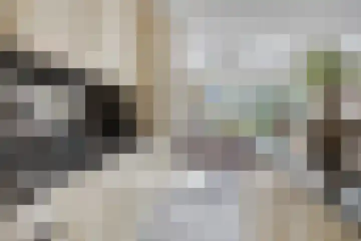 Ridderzaal 37 Eindhoven thumbnail 12