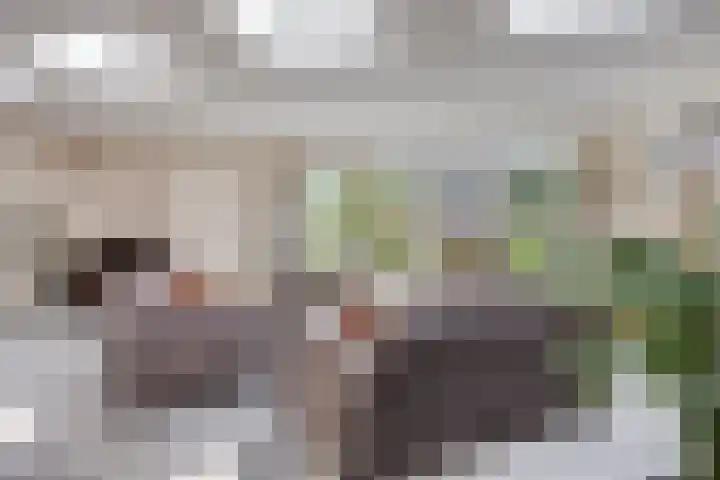 Ridderzaal 37 Eindhoven thumbnail 13