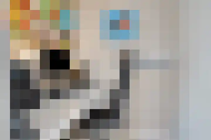 Ridderzaal 37 Eindhoven thumbnail 18