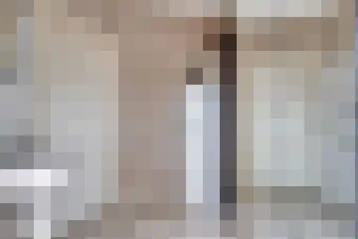 Ridderzaal 37 Eindhoven thumbnail 19