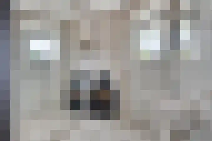 Ridderzaal 37 Eindhoven thumbnail 20
