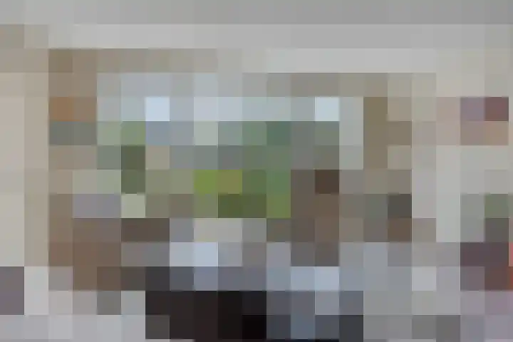 Ridderzaal 37 Eindhoven thumbnail 21