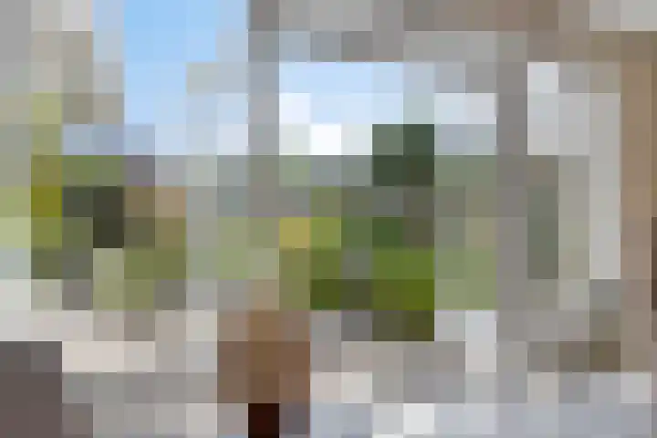Ridderzaal 37 Eindhoven thumbnail 22