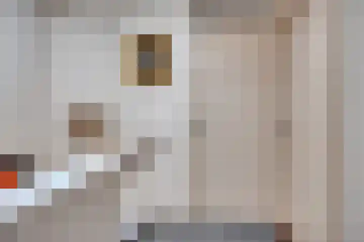 Ridderzaal 37 Eindhoven thumbnail 23