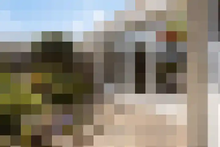 Ridderzaal 37 Eindhoven thumbnail 31