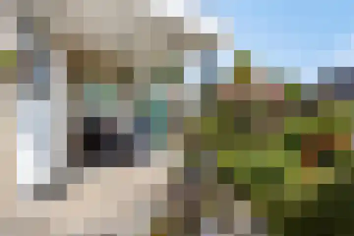 Ridderzaal 37 Eindhoven thumbnail 32