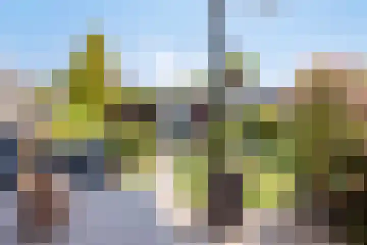 Ridderzaal 37 Eindhoven thumbnail 33