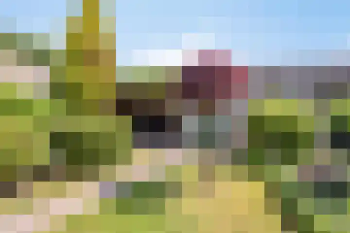 Ridderzaal 37 Eindhoven thumbnail 35
