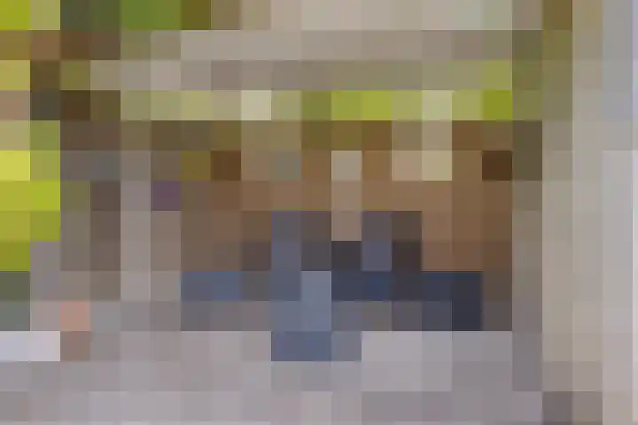 Ridderzaal 37 Eindhoven thumbnail 36