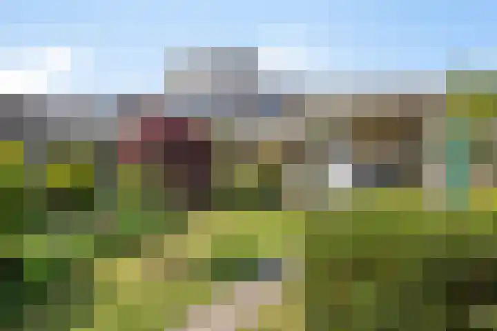 Ridderzaal 37 Eindhoven thumbnail 4