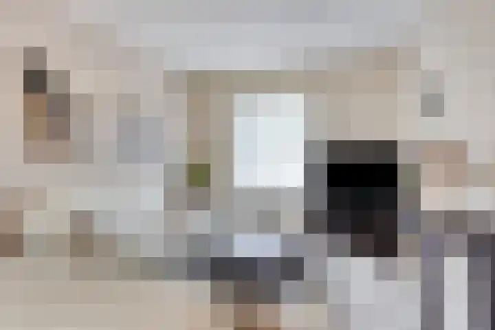 Ridderzaal 37 Eindhoven thumbnail 6