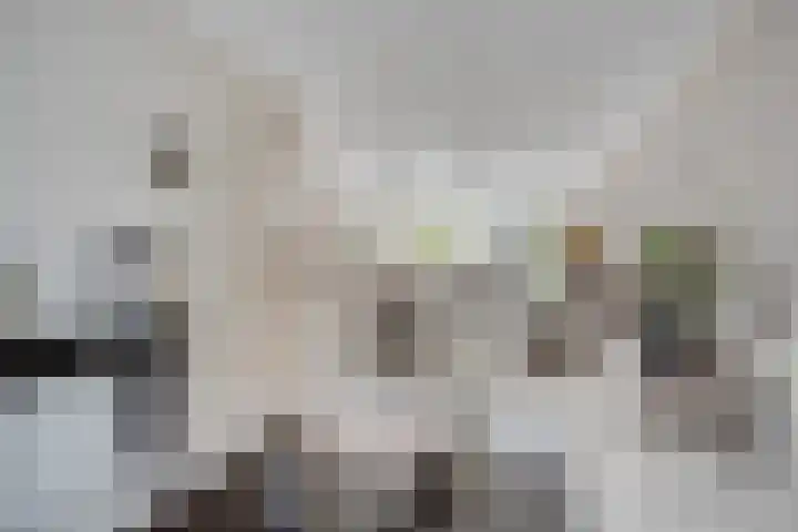 Ridderzaal 37 Eindhoven thumbnail 7