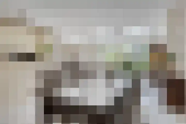 Ridderzaal 37 Eindhoven thumbnail 8