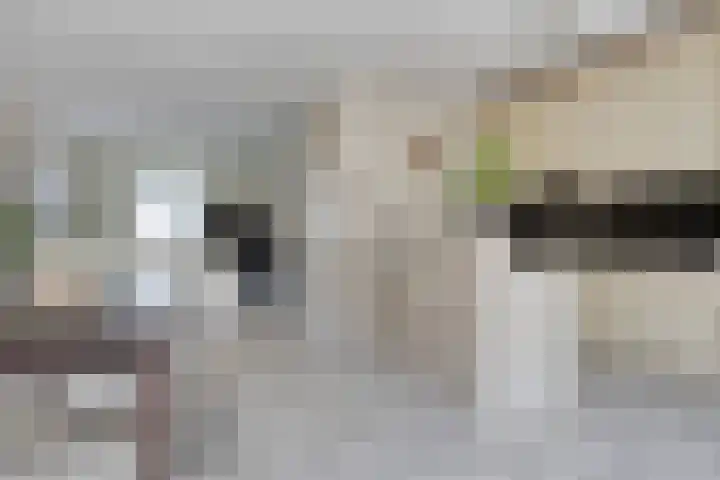 Ridderzaal 37 Eindhoven thumbnail 9