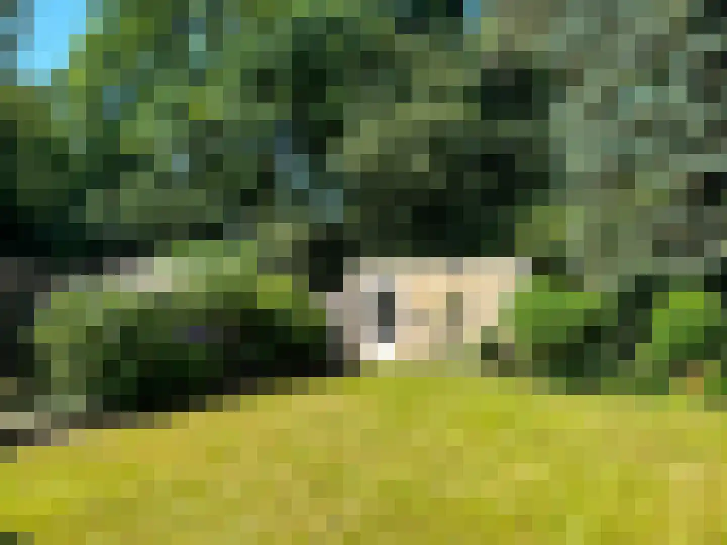 Ridderzaal 48 Eindhoven thumbnail 17