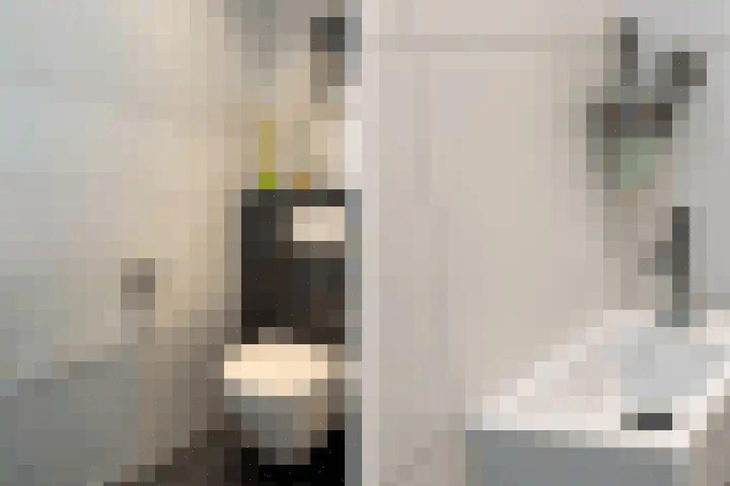 Ridderzaal 48 Eindhoven thumbnail 5
