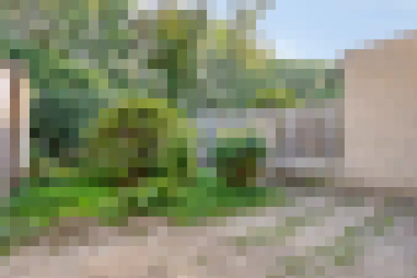 Ridderzaal 76 Eindhoven thumbnail 26