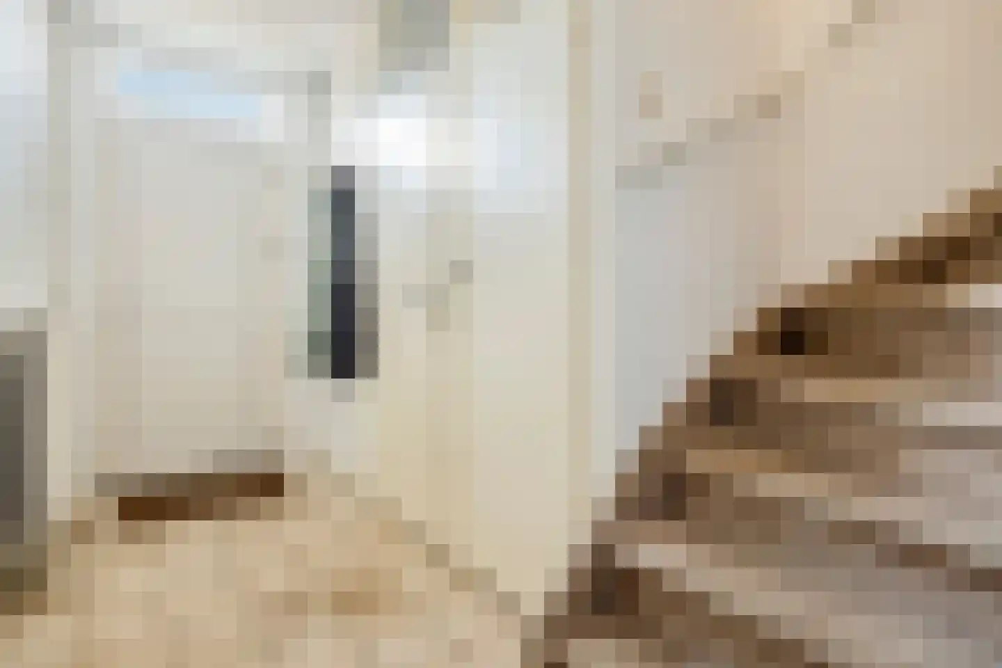 Ridderzaal 76 Eindhoven thumbnail 6