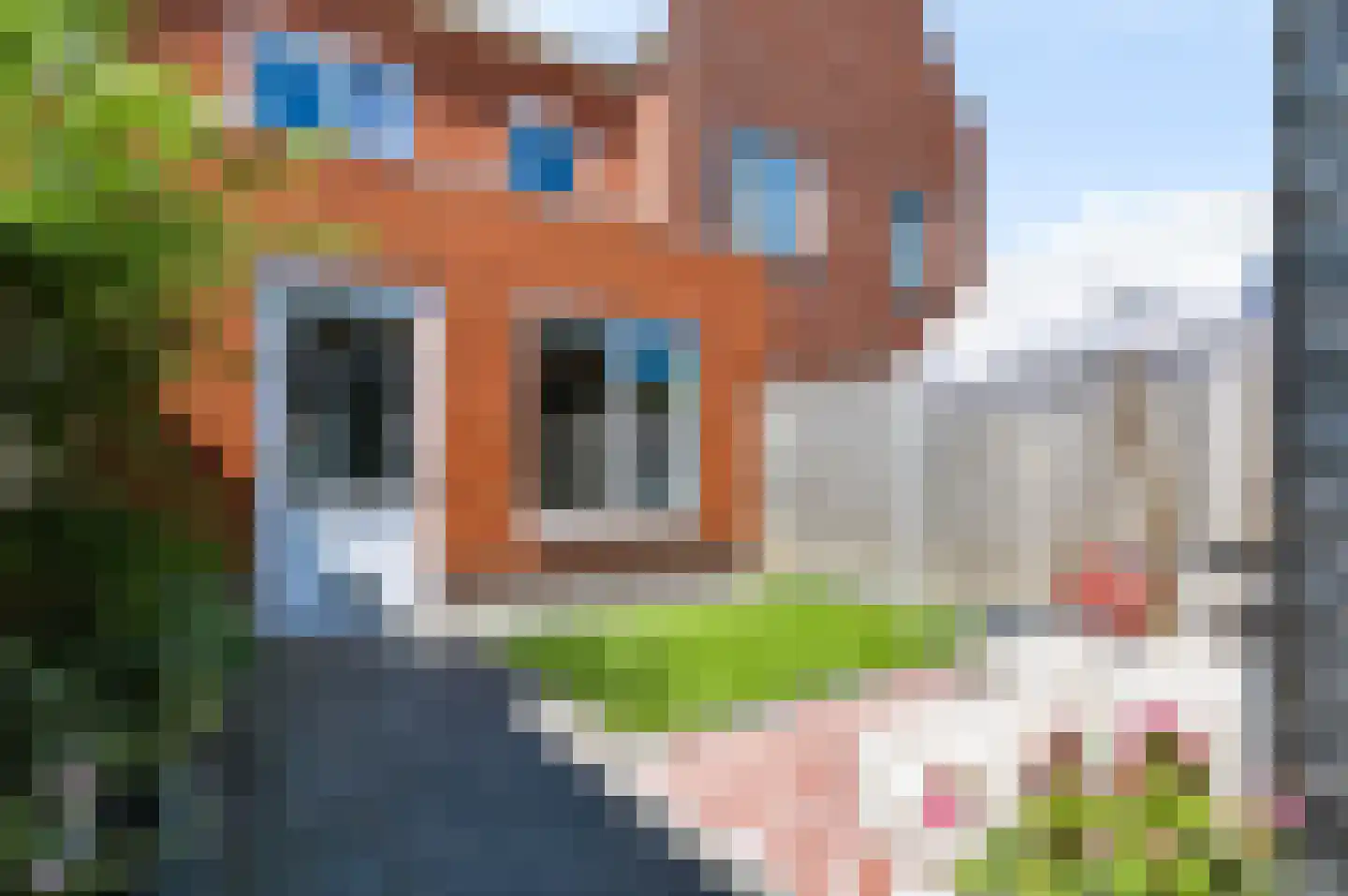 Ridderzwam 136 Apeldoorn thumbnail 25