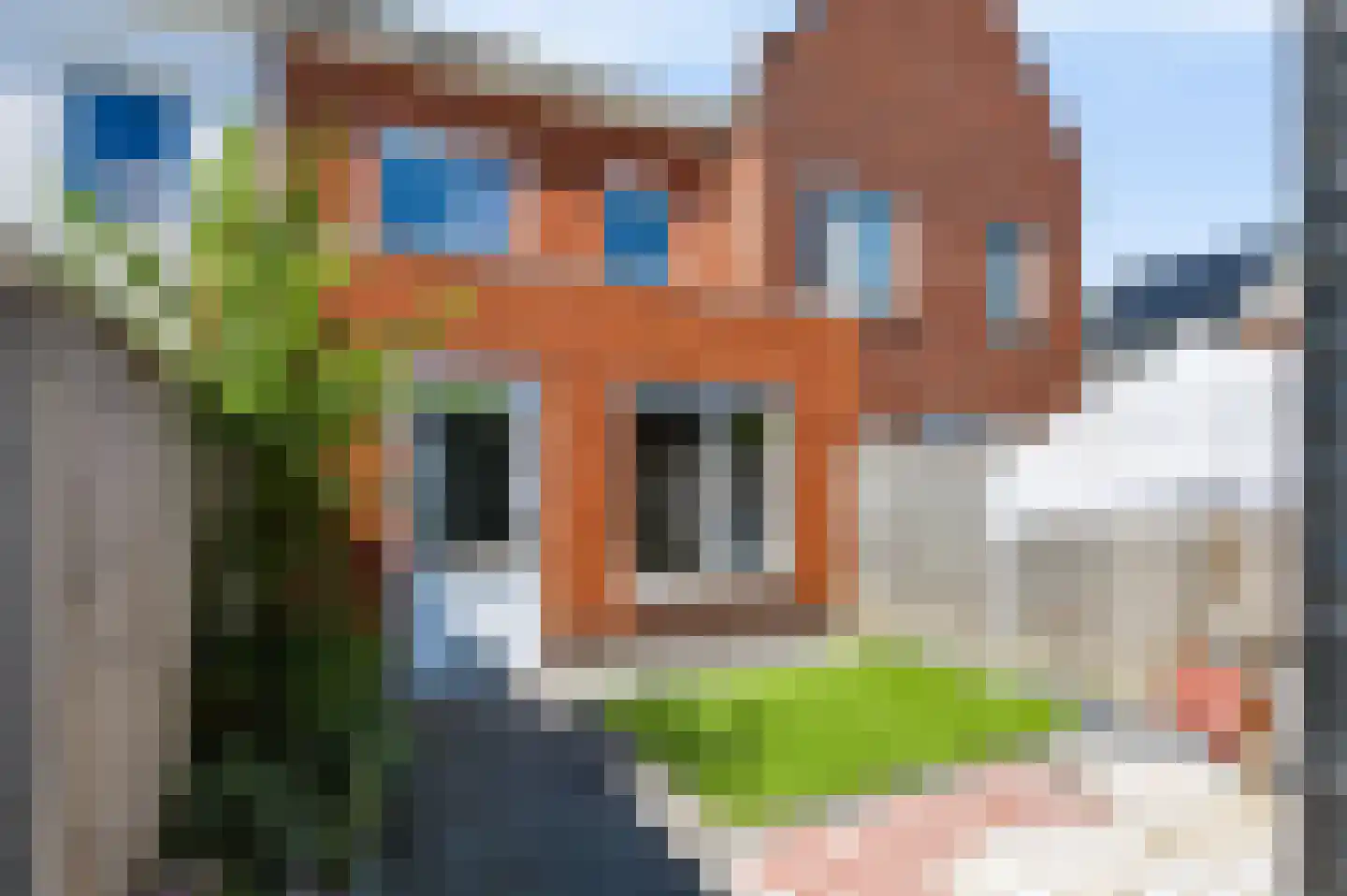 Ridderzwam 136 Apeldoorn thumbnail 26