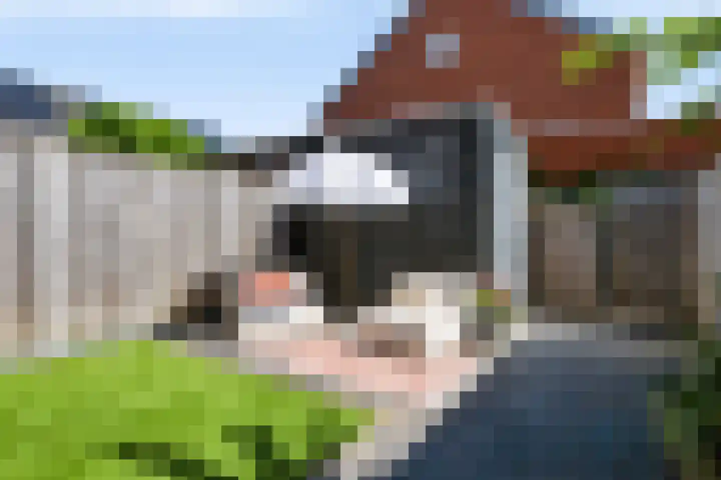Ridderzwam 136 Apeldoorn thumbnail 27