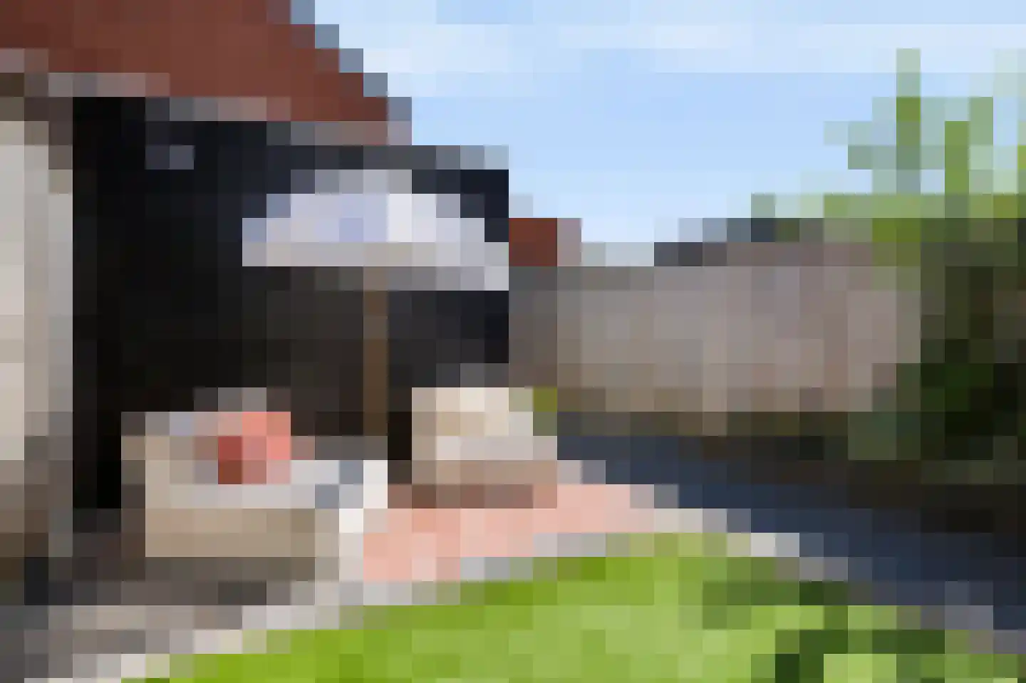 Ridderzwam 136 Apeldoorn thumbnail 28