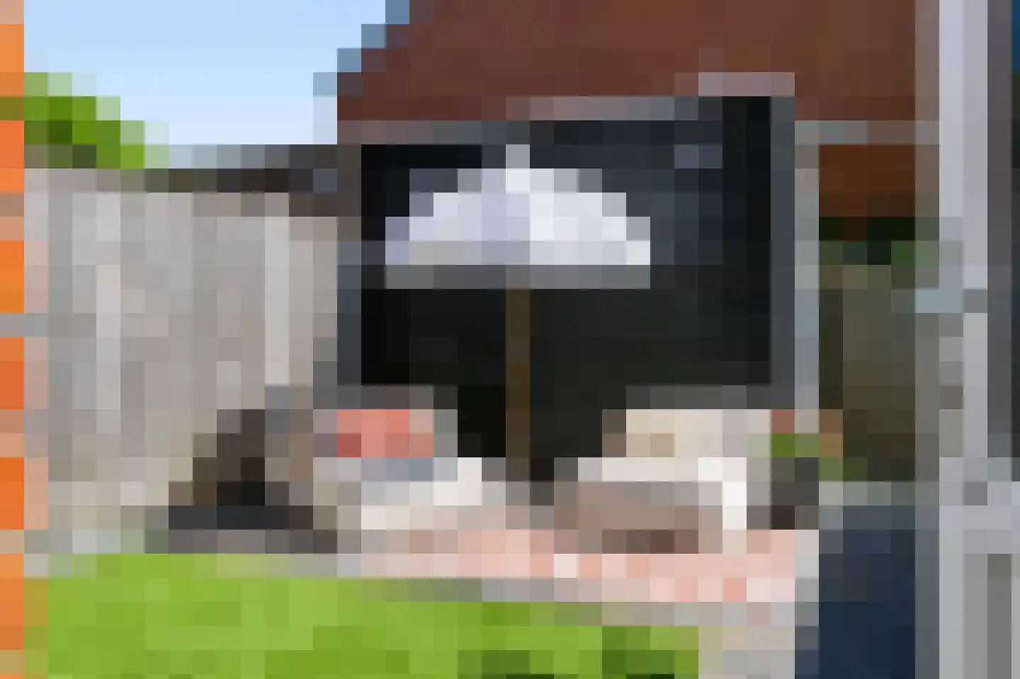 Ridderzwam 136 Apeldoorn thumbnail 29