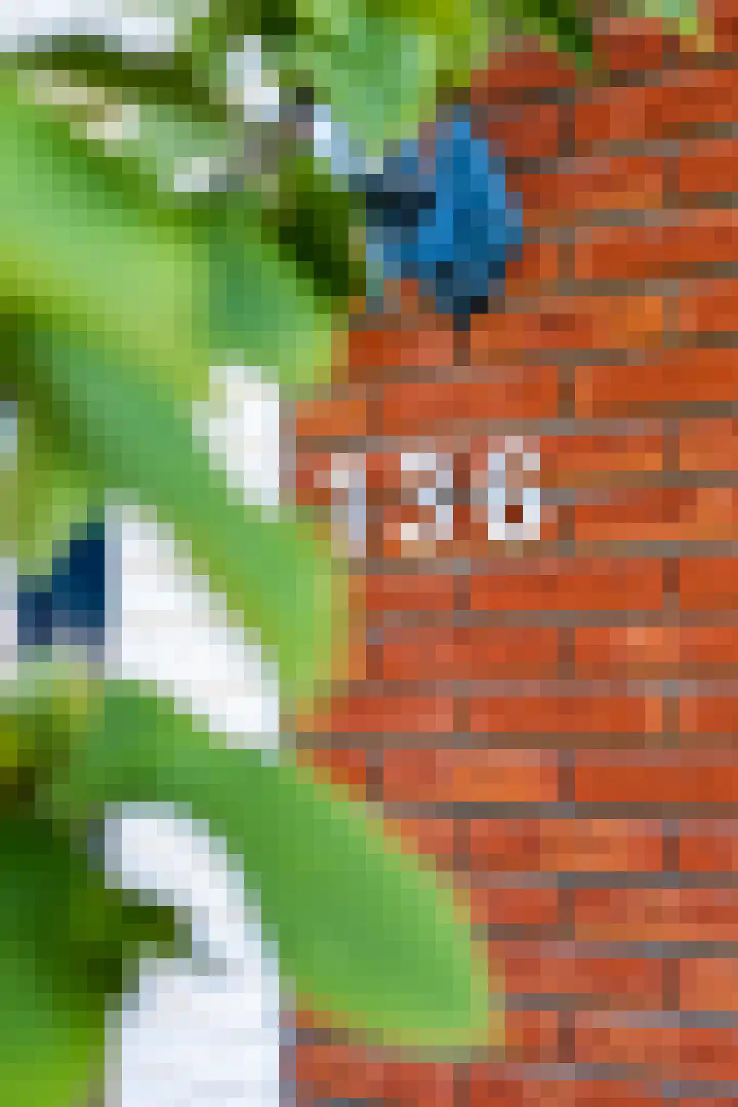 Ridderzwam 136 Apeldoorn thumbnail 34