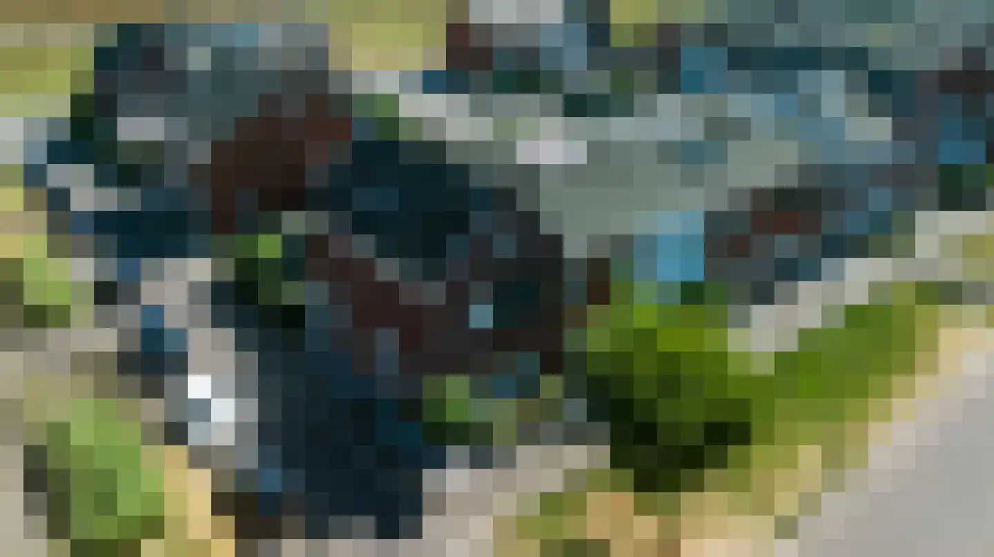 Ridderzwam 136 Apeldoorn thumbnail 39