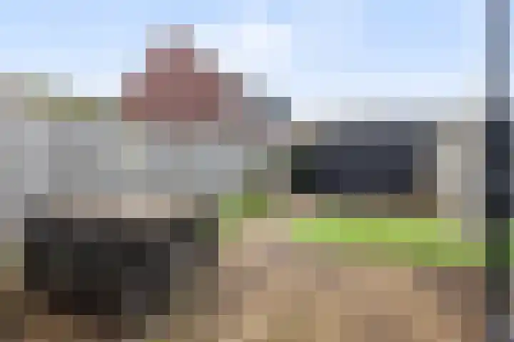 Ridderzwam 149 Apeldoorn thumbnail 10