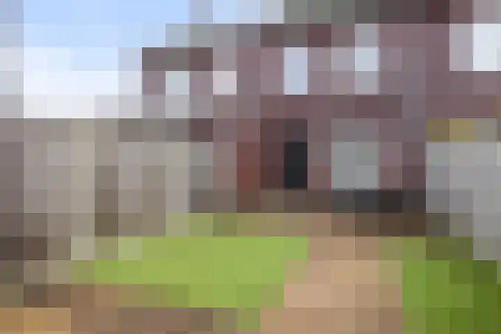 Ridderzwam 149 Apeldoorn thumbnail 11