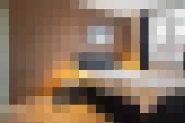 Ridderzwam 149 Apeldoorn thumbnail 15
