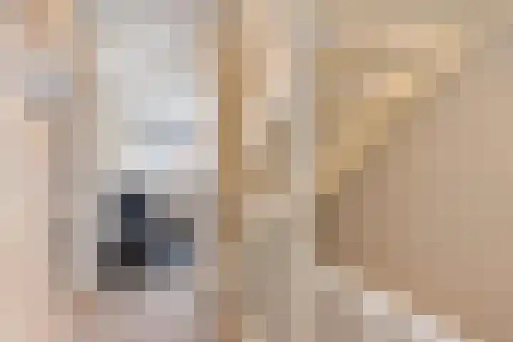 Ridderzwam 149 Apeldoorn thumbnail 22