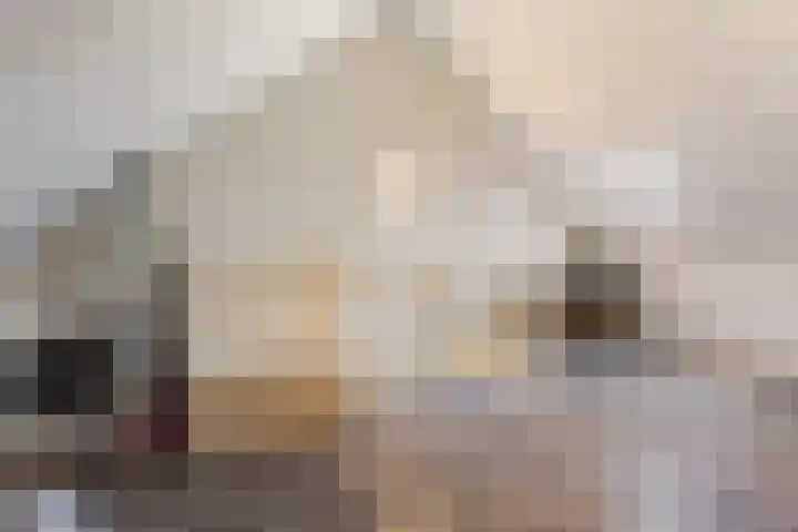 Ridderzwam 149 Apeldoorn thumbnail 24