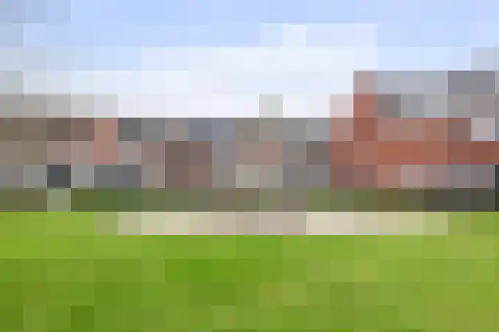 Ridderzwam 149 Apeldoorn thumbnail 25