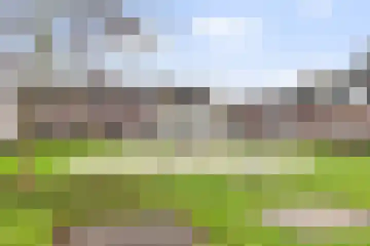 Ridderzwam 149 Apeldoorn thumbnail 26