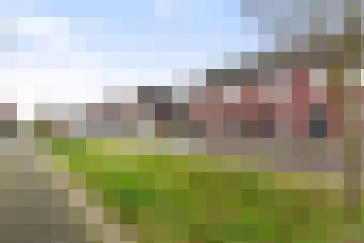 Ridderzwam 149 Apeldoorn thumbnail 27