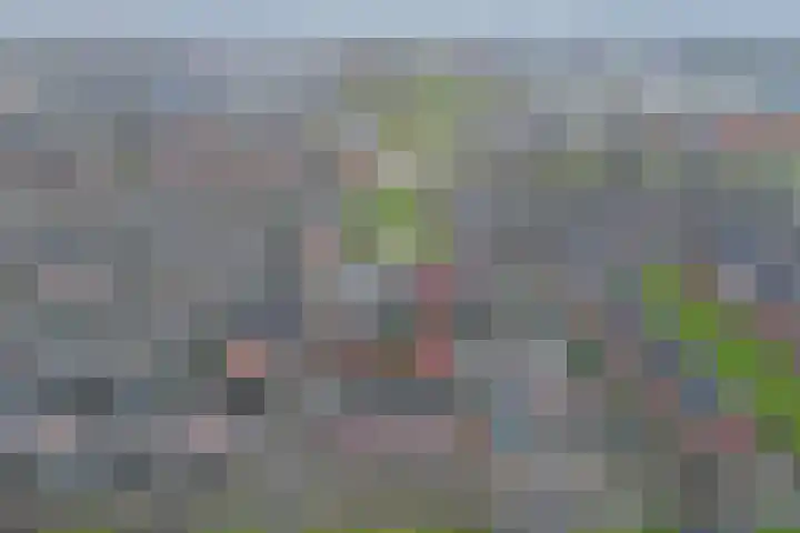 Ridderzwam 149 Apeldoorn thumbnail 28