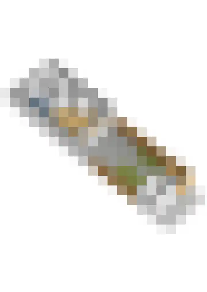 Ridderzwam 149 Apeldoorn thumbnail 38