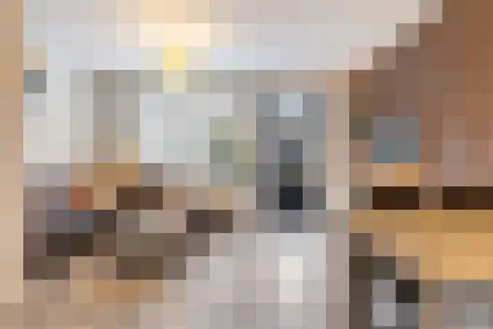 Ridderzwam 149 Apeldoorn thumbnail 4