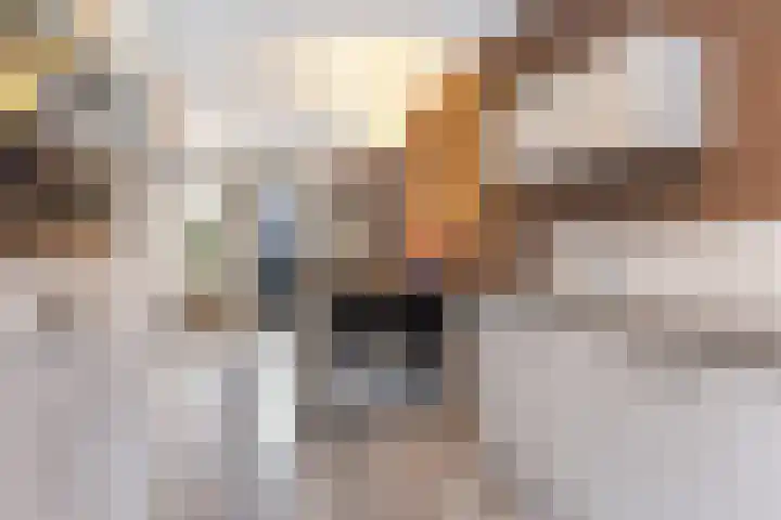 Ridderzwam 149 Apeldoorn thumbnail 8