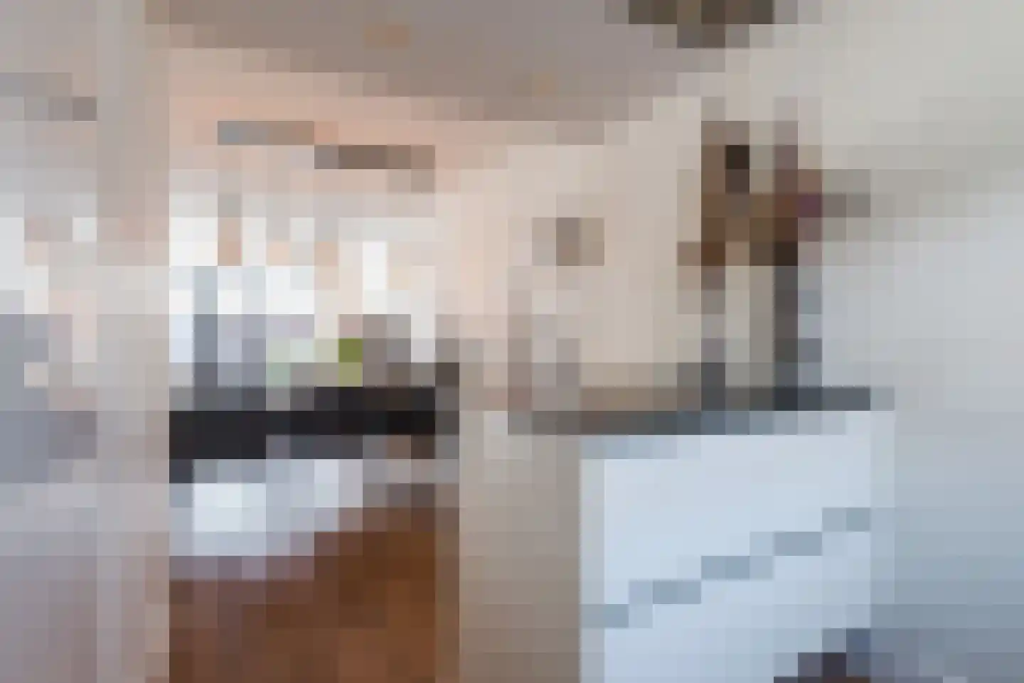 Ridderzwam 152 Apeldoorn thumbnail 11