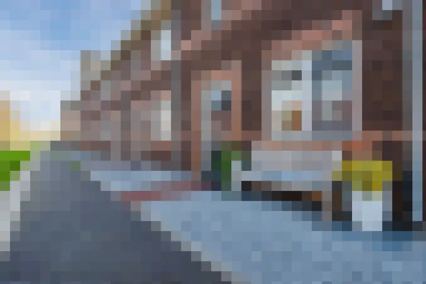 Ridderzwam 152 Apeldoorn thumbnail 16