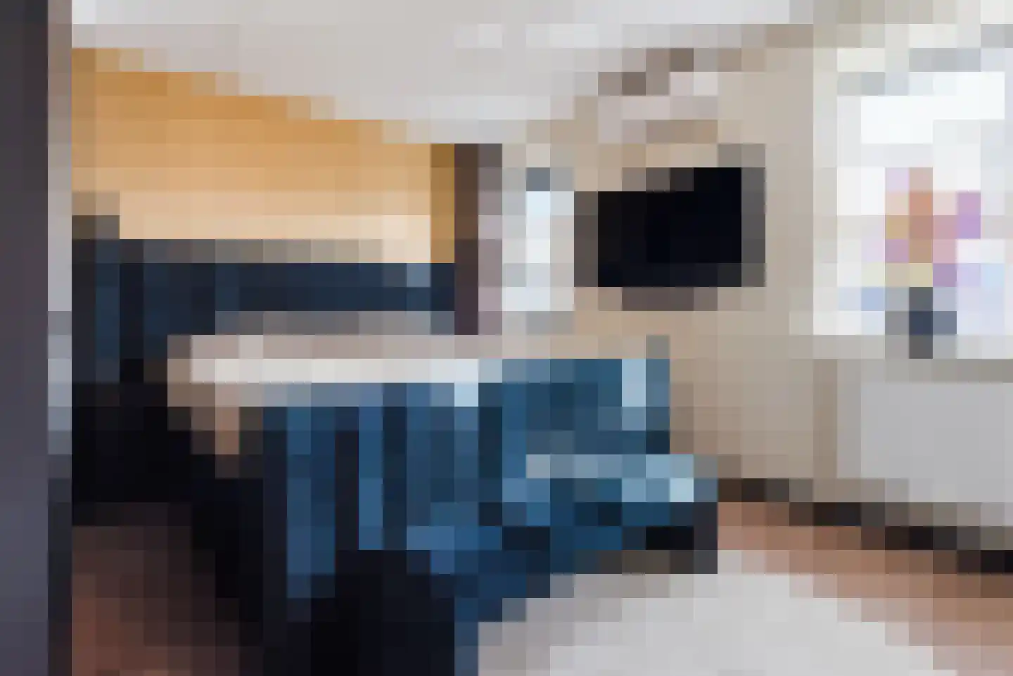 Ridderzwam 152 Apeldoorn thumbnail 22