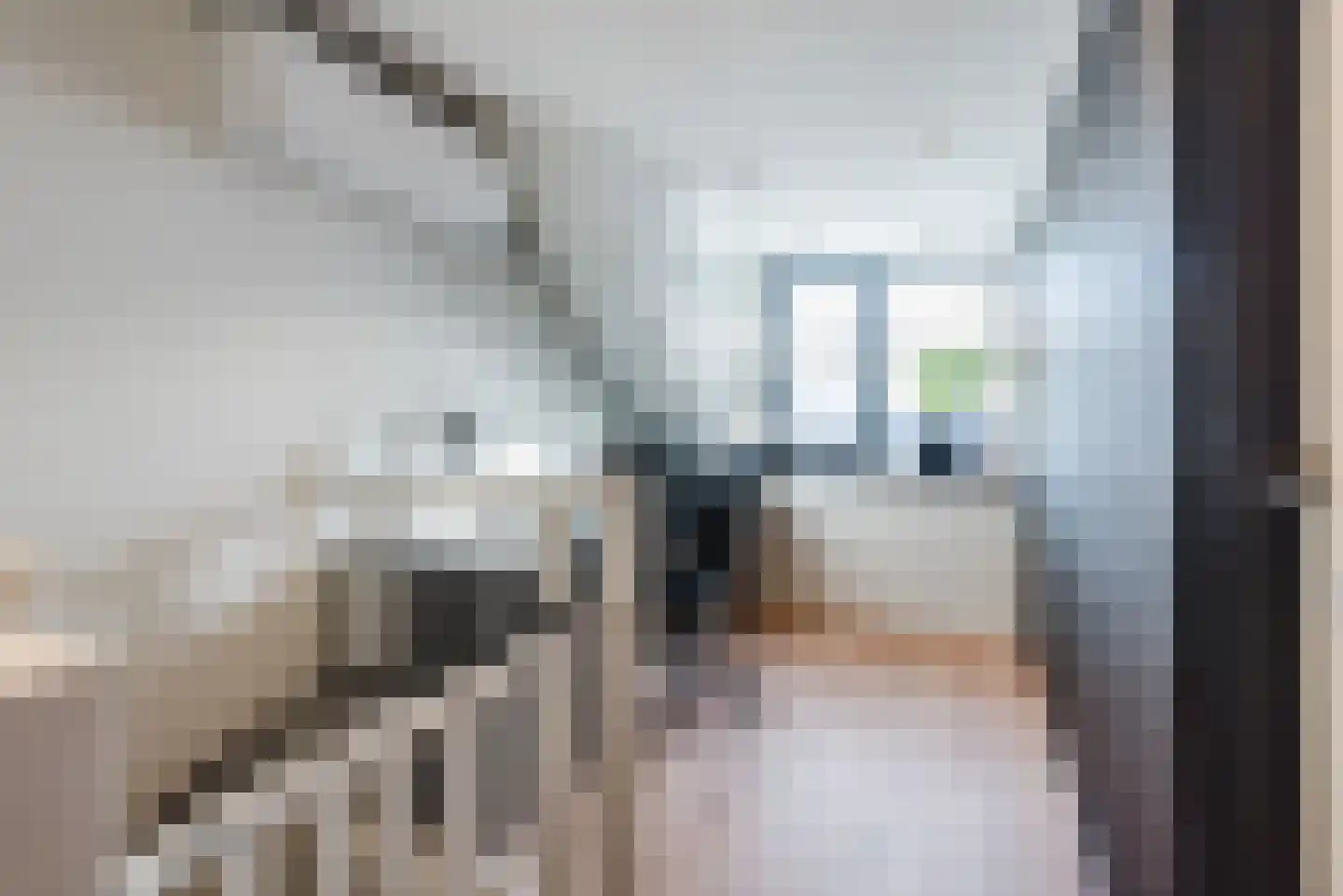 Ridderzwam 152 Apeldoorn thumbnail 30