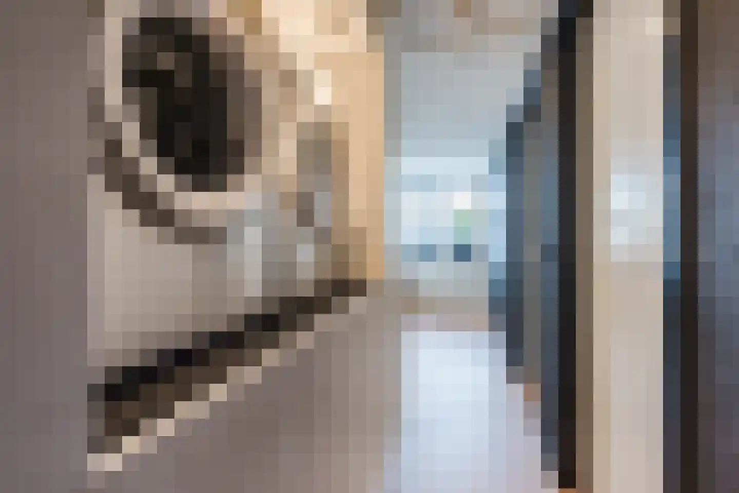 Ridderzwam 152 Apeldoorn thumbnail 33