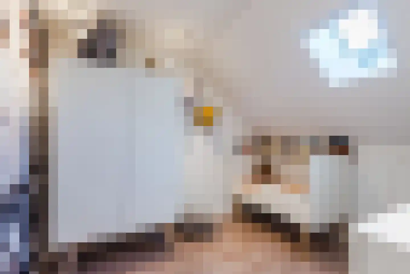 Ridderzwam 152 Apeldoorn thumbnail 37