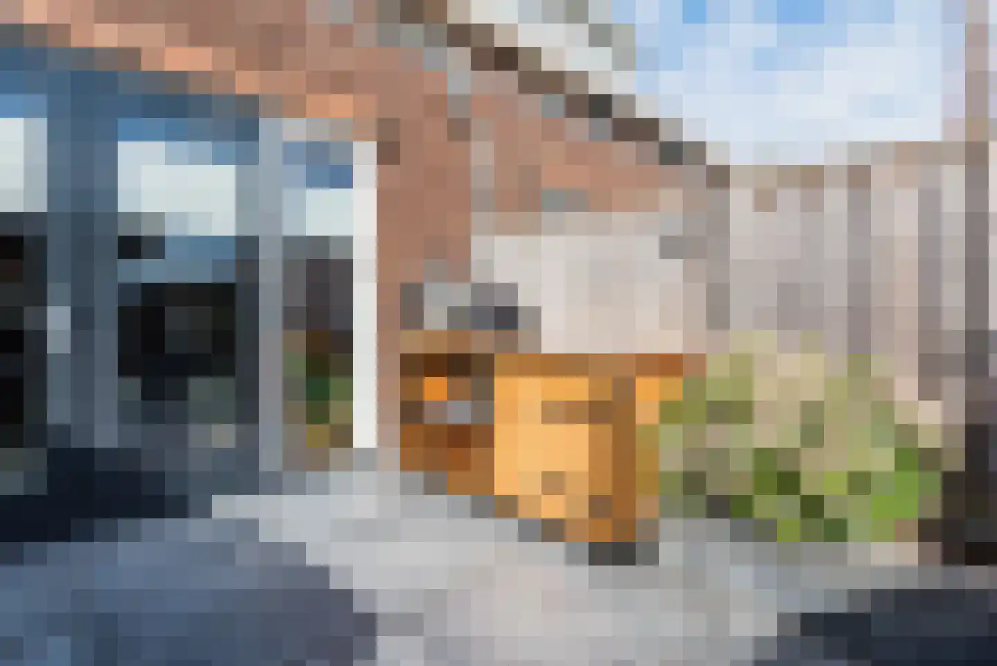Ridderzwam 152 Apeldoorn thumbnail 46