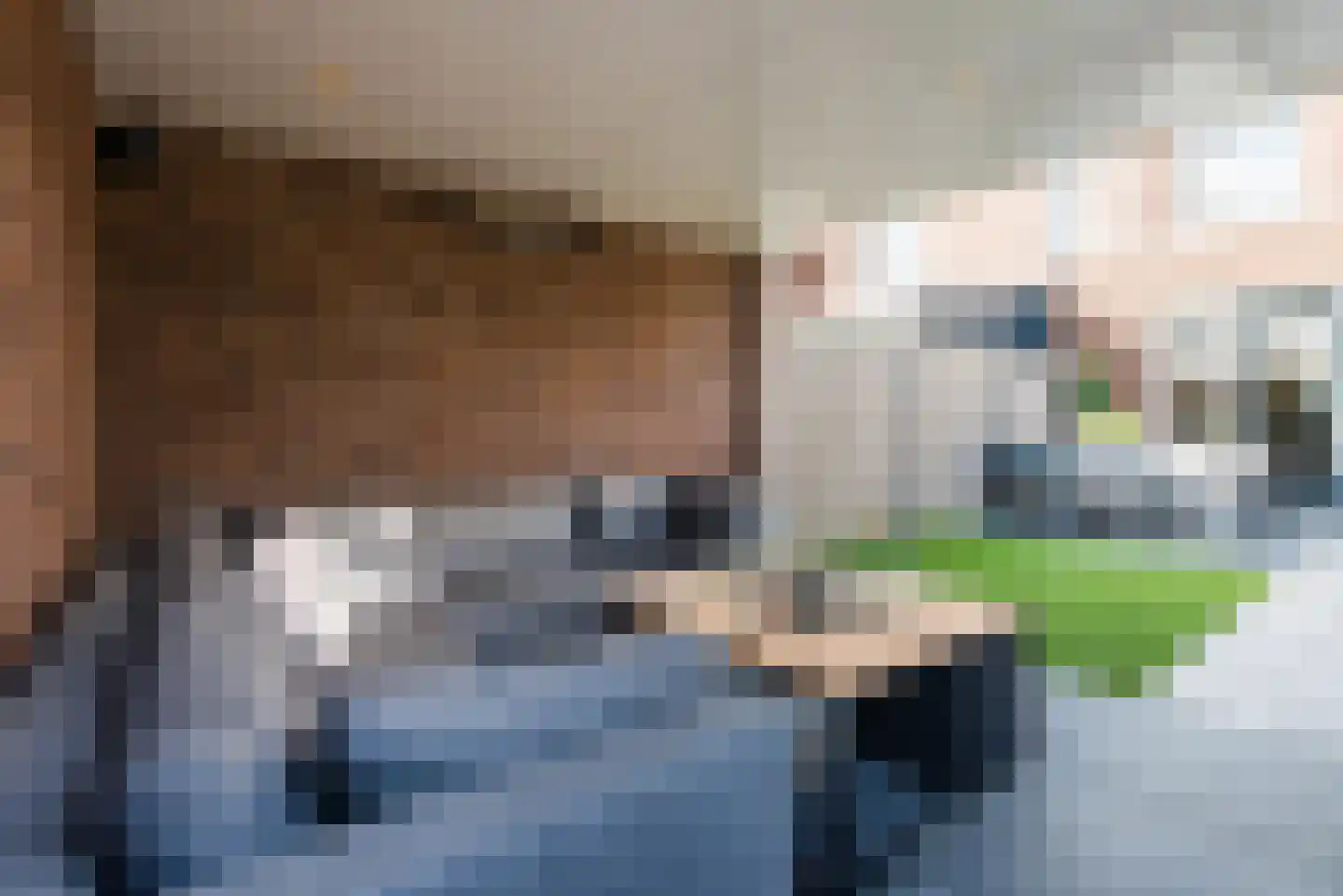 Ridderzwam 152 Apeldoorn thumbnail 48